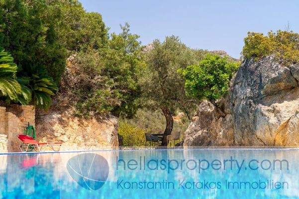 Naturkulisse im Pool