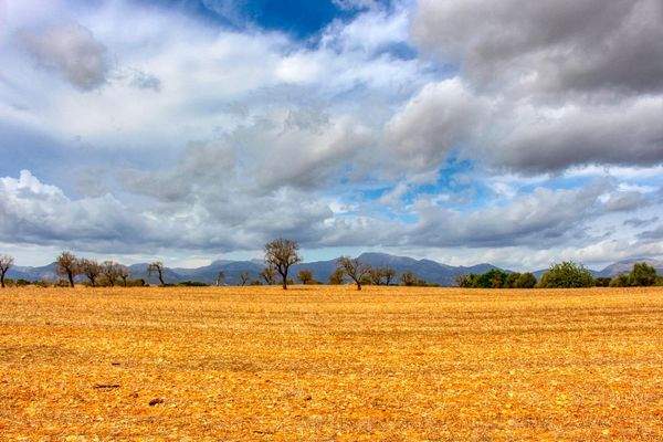 Zu-verkaufen-fantastische-Finca-in-sehr-ruhiger-Lage-bei-Costitx-Inca