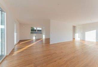 Blick auch dem Wohnbereich zur Küche