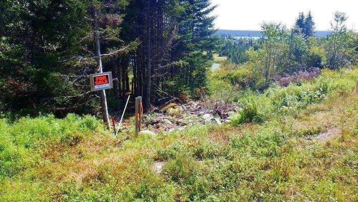 Linke Grundstücksgrenze Straße