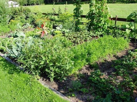 Fischeln Bauernhöfe, Landwirtschaft, Fischeln Forstwirtschaft