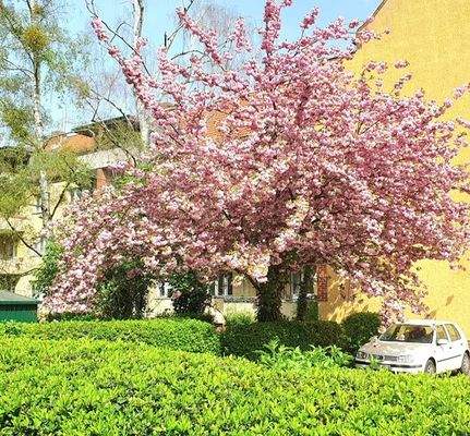 PHOTO-2024-04-08-15-27-08 (2).jpg