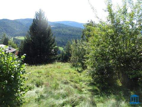 Spital am Semmering Grundstücke, Spital am Semmering Grundstück kaufen
