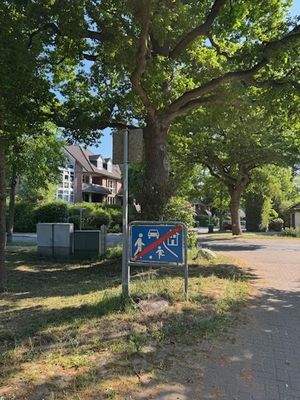 Spielstraße Bild 2.jpeg