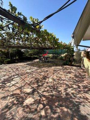 WhatsApp Image 2024-09-06 at 10.28.47 (2).jpeg