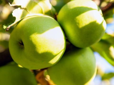 Leifers Grundstücke, Leifers Grundstück kaufen