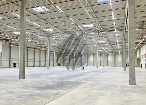 INFOS UNTER: 06171-586000