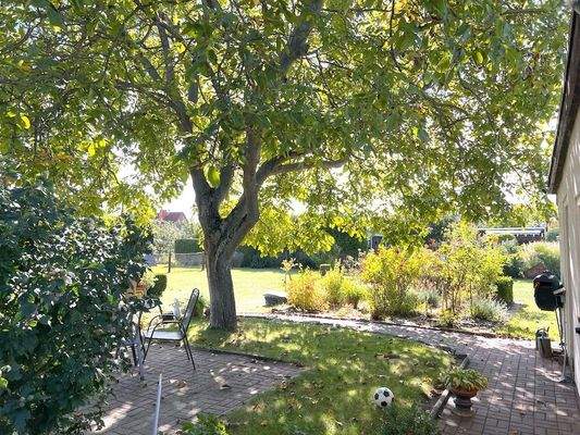 Blick in den Garten