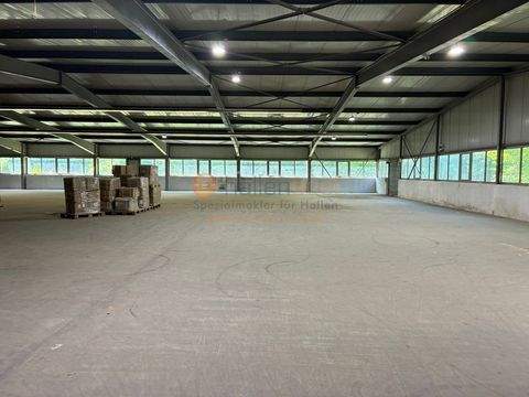 Dürrholz Halle, Dürrholz Hallenfläche