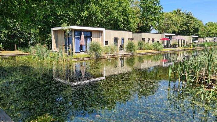 Ferienhaus Holland kaufen Gelderland Hulshorst Varelseweg 211 Bad Hoophuizen t Water 9 42