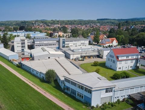 Teningen Büros, Büroräume, Büroflächen 