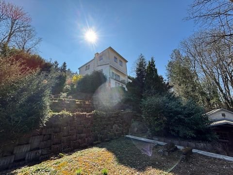 Trier Häuser, Trier Haus kaufen