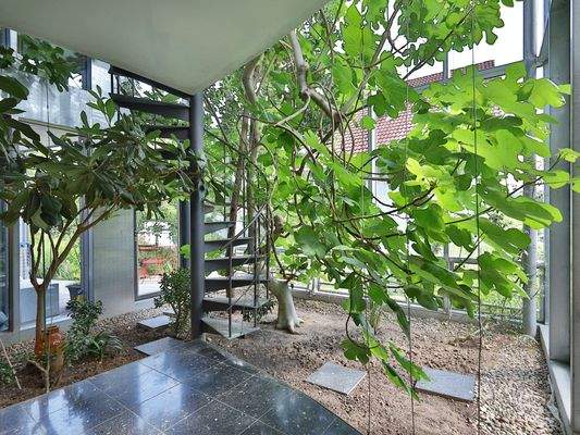 Untere Terrasse im Wintergarten