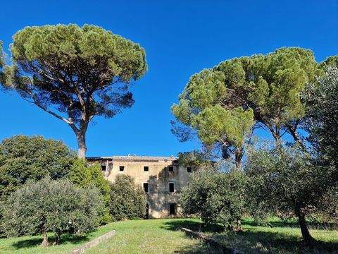 Castelnuovo Berardenga Häuser, Castelnuovo Berardenga Haus kaufen