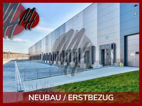 Grünstadt Halle, Grünstadt Hallenfläche