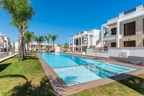 Torrevieja Wohnungen, Torrevieja Wohnung kaufen