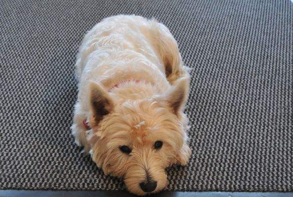 Ich werde umziehen ...... war soooo
schön hier