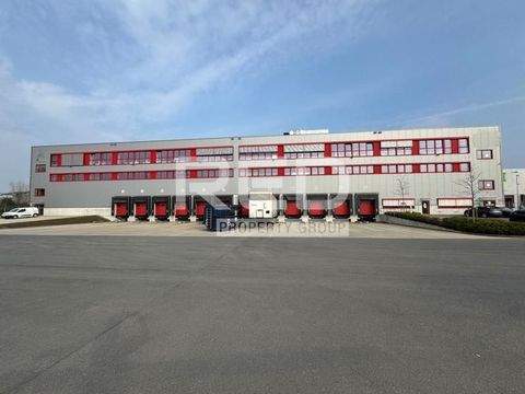 Düsseldorf Halle, Düsseldorf Hallenfläche