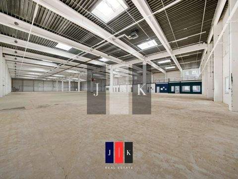 Hamburg Halle, Hamburg Hallenfläche