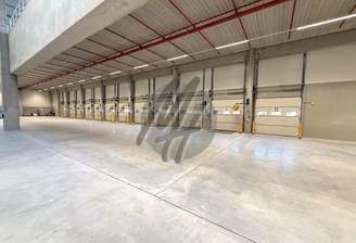 INFOS UNTER: 06171-586000