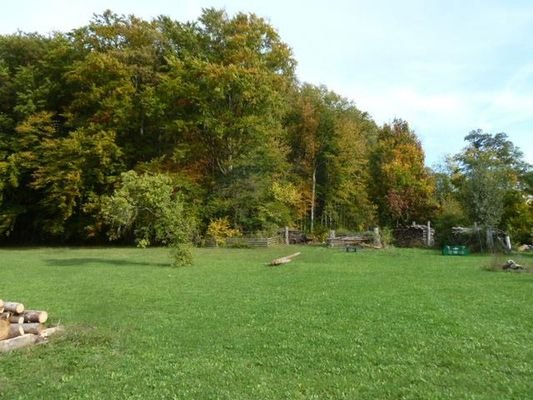 Wiese am Haus