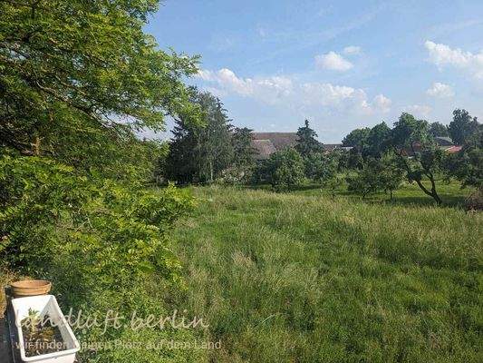 zukaufbare Wiese in Verläng. des Grundstückes.jpg