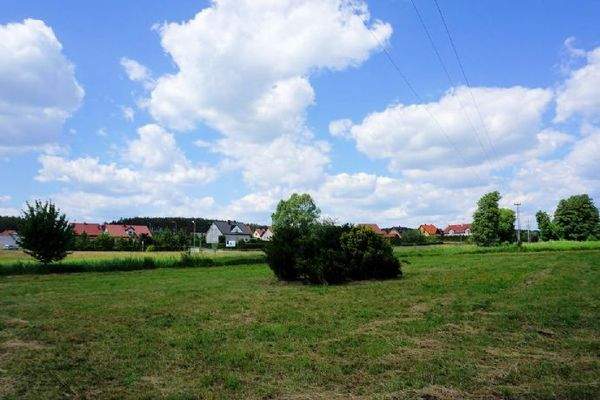 Auf dem Grundstück (2)