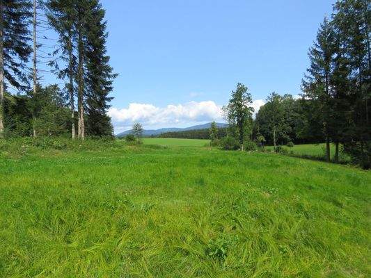 Blick vom westlichen Grundstück z. Brotjacklriegel