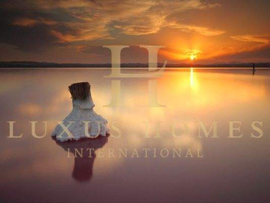 Laguna de Torrevieja