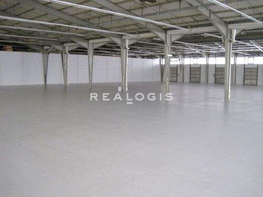 Beispielbild Hallenfläche