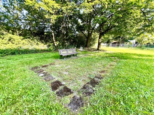 B9.36_Garten.jpg