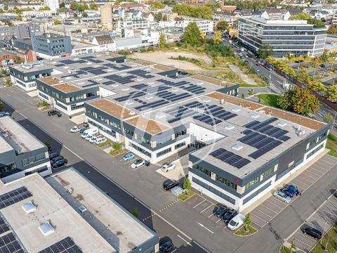 Köln Halle, Köln Hallenfläche