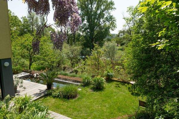 Blick in den Naturgarten