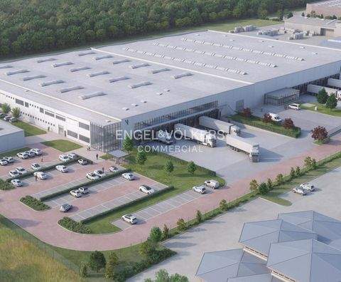 Blumberg Halle, Blumberg Hallenfläche