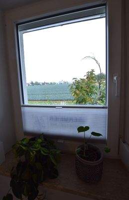 Lage mitten in Gemüsefeldern - hier Ausblick