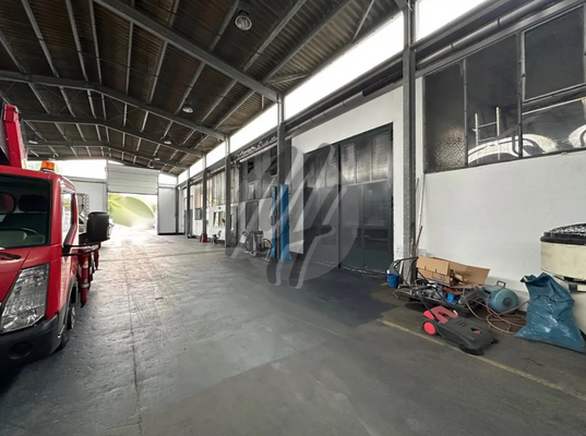 INFOS UNTER: 06171-586000