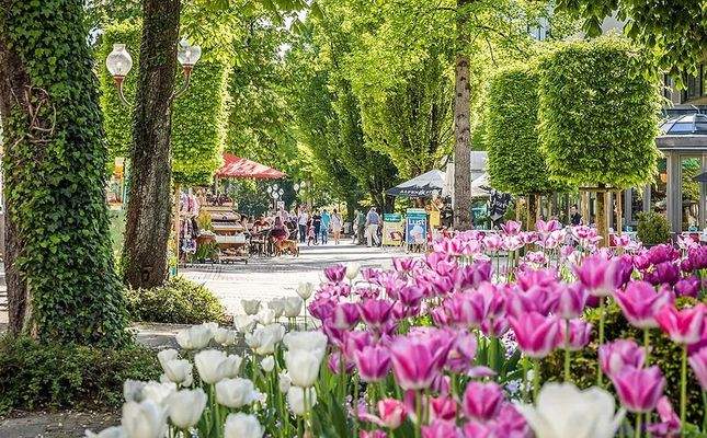 bad-reichenhall-spring-Kopie