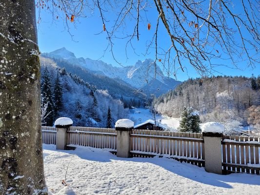 Blick vom Garten