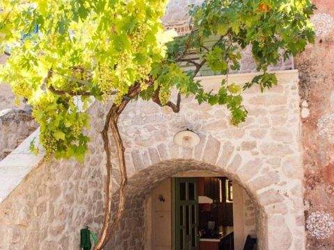 Iz - Rava Häuser, Iz - Rava Haus kaufen