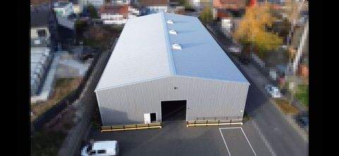 Langenzenn Halle, Langenzenn Hallenfläche