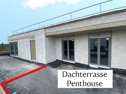 Dachterrasse-PH.jpg