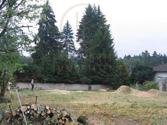 Bilder nach der Rodung