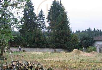 Bilder nach der Rodung