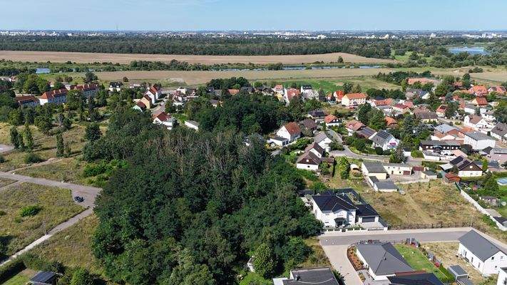 DJI_20240812112146_0016_D