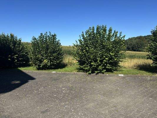 Parkplatz/Stellplatz