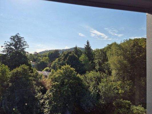 Blick nach Süden vom Elternschlafzimmer aus