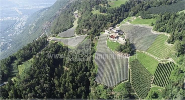 Vöran-geschlossener-Hof-traumhafteAussicht-Äpfel-Wiese-Kastanien-Südtirol-Meraner-Land-