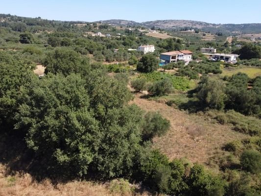 Kreta, Vryses im Apokoronos: Großes Grundstück zum Verkauf in Vrysses