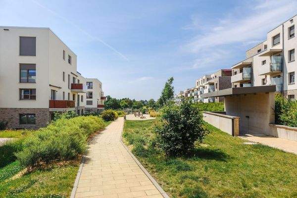 250617_Kleekamp_JS_195