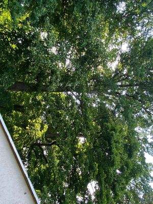 Innenhof vorn (4).JPG